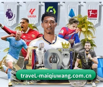 买球网 APP | maiqiuwang
